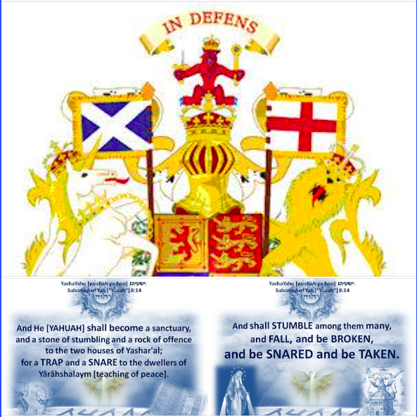 ThundersSeven's tweet image. Enoch is one of the very few who never died YaHUaH took Him &amp;amp; as it is written, #YaHUaH is well pleased with the work of #righteous #Enoch 
These are the Books originally printed in the king Iacob Bible in 1611 - #TheWord of YaHUaH was to be taken to the 4 corners of the Earth