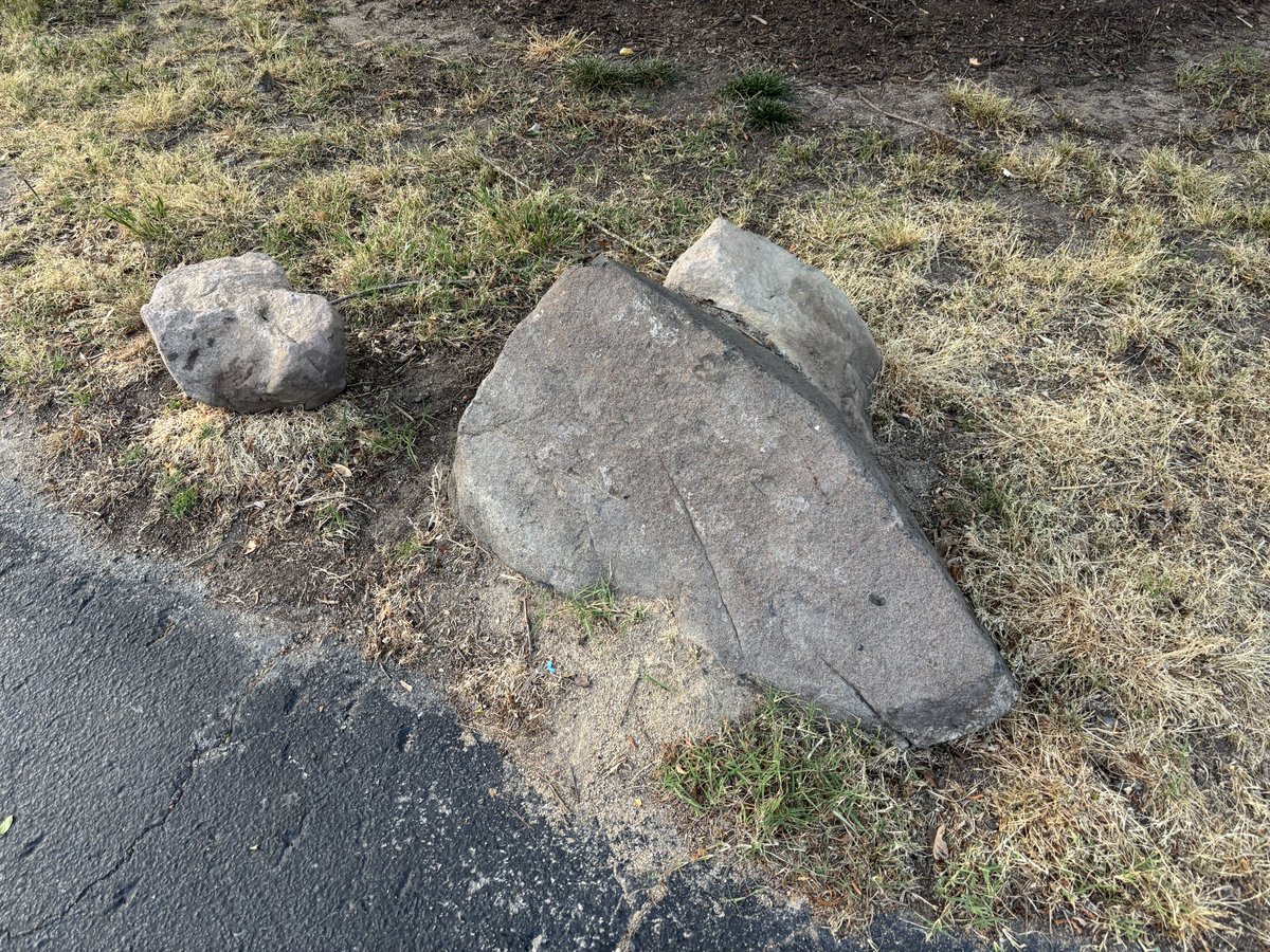 Gator Gar tweet media