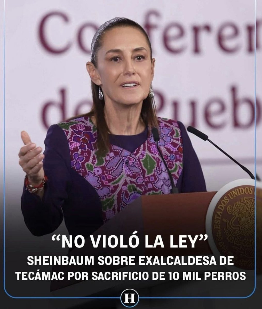 perrososmx's tweet photo. 😒Señora presidenta, es lamentable este tipo de declaraciones. No todo se reduce a lo legal, también hay responsabilidad #ética. Minimizar un tema así solo refleja la falta de sensibilidad ante un problema grave. #TECAMAC #Nomasmuertes de seres inocentes https://t.co/UzwK3tRufX