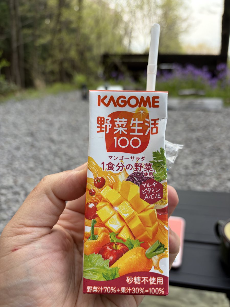 OZ★Go Camping with PAO tweet media