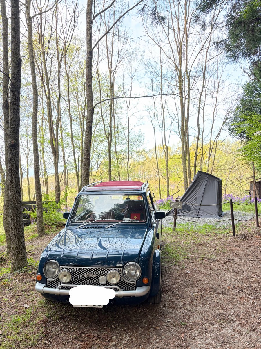 OZ★Go Camping with PAO tweet media