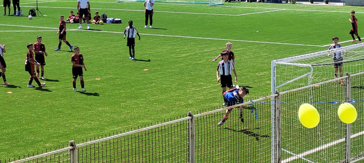 LucaColucci1's tweet photo. @settalese @ColucciLc @Calciodiretta24 @comunesettala @mar_co_lucci @settalacalcio @LegaDilettanti @AlzaniRiccardo @tuttocampo @ilCittadinoLodi @SbordoniMa39431 @ComunediLodi @MontePoraPresol @Presolana @ProlocoClusone @Zcfnews @YTGroup_com @visitischia @IschiaRu @GiovaniBN @Nappulaliiga @juhoputkonen @ischianews @CagliariCalcio @RepCagliari @Isolaliricalcio @Zif0u @Frosinone1928 @ComuneFrosinone @AstorHotelFr @isolaprocida @iloveischia_ @cartaromana @ischiablog @castelloischia #silvia #sau #Ciana #drino #Addis e #Simone #addis https://t.co/x1Eg7z7C4w