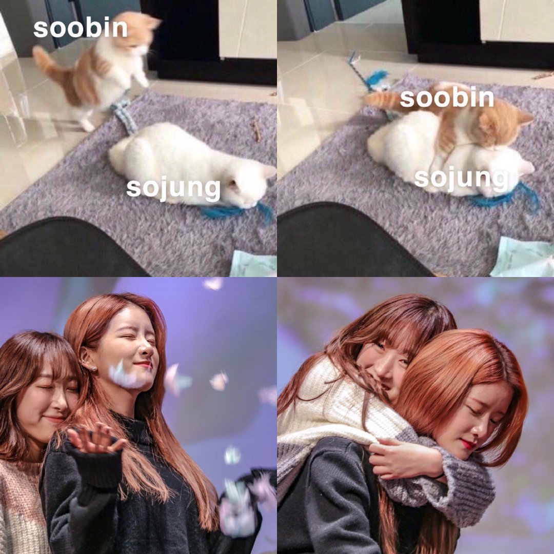 stream wagtd!!! tweet media