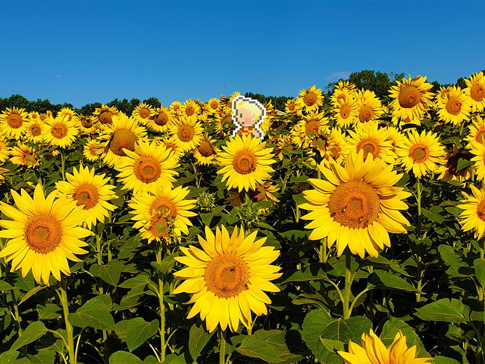 Emilio Orsi tweet media