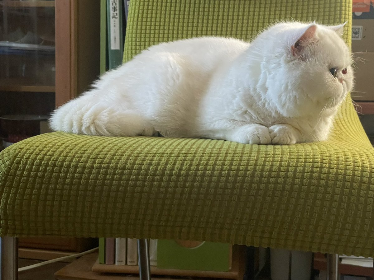 しろママ tweet media