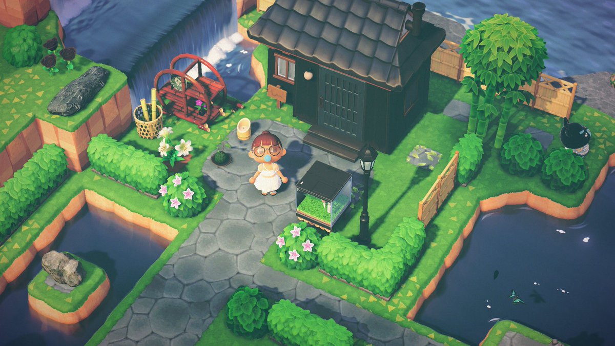 米白粕◎ tweet media