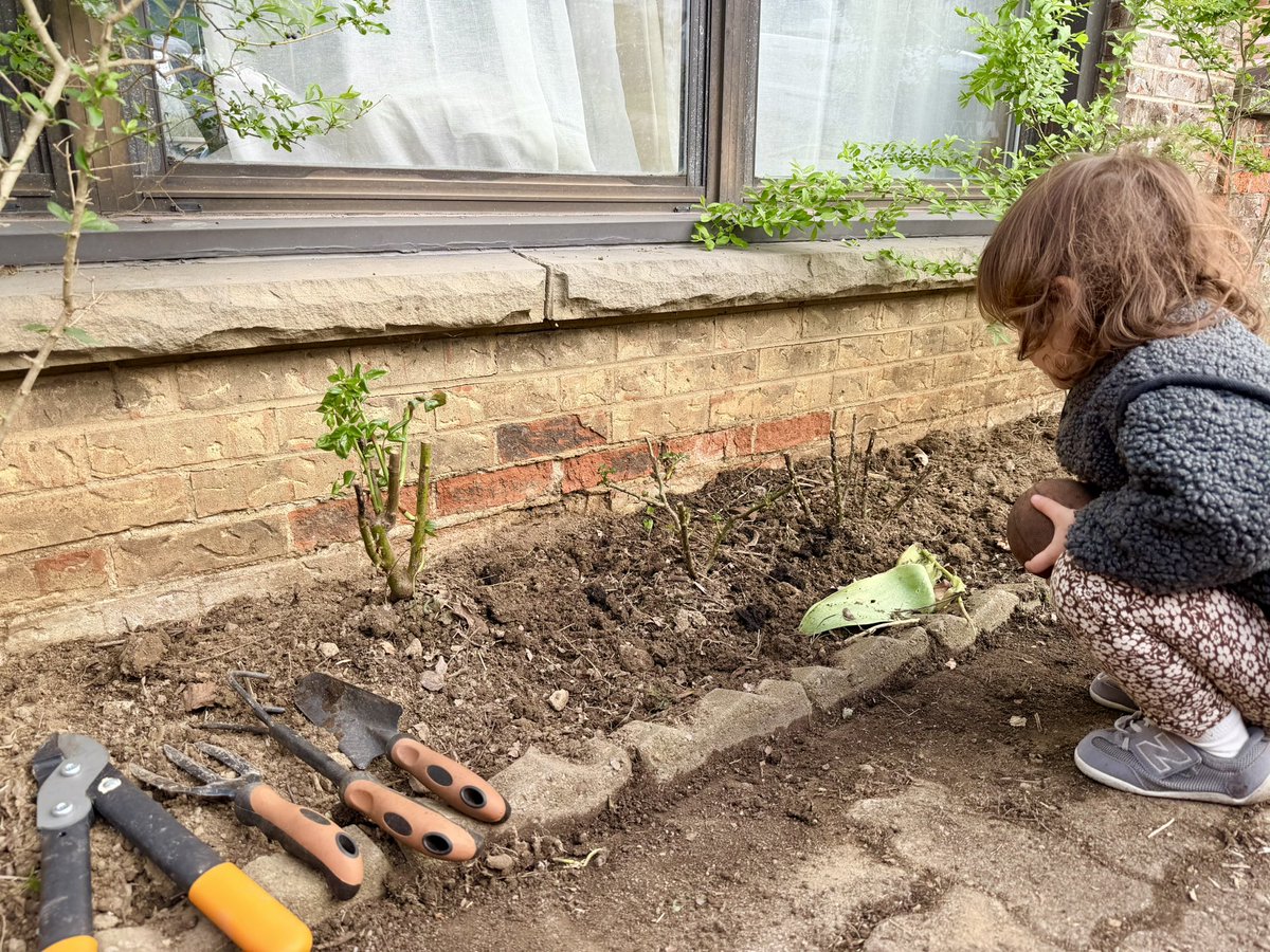 堆肥を少し入れて、バラの苗木やチューリップやグラジオラスの球根植えた🪻

(一枚目、子が一生懸命にミミズを見守っている😬)(そのあとミミズレースさせようとしてた🤦‍♂️)