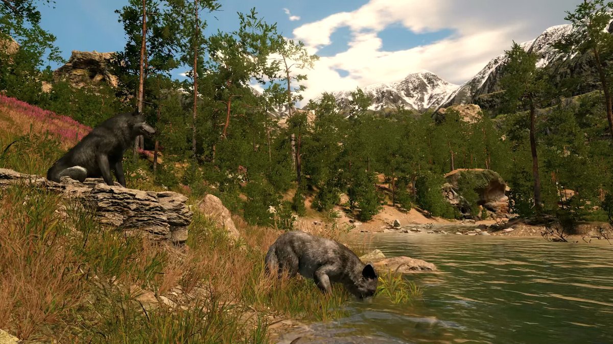 Indie Freaks tweet media