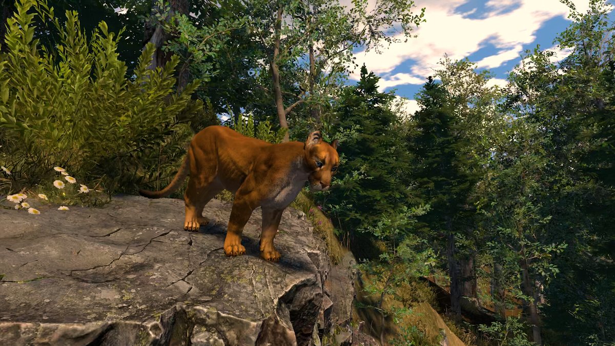 Indie Freaks tweet media