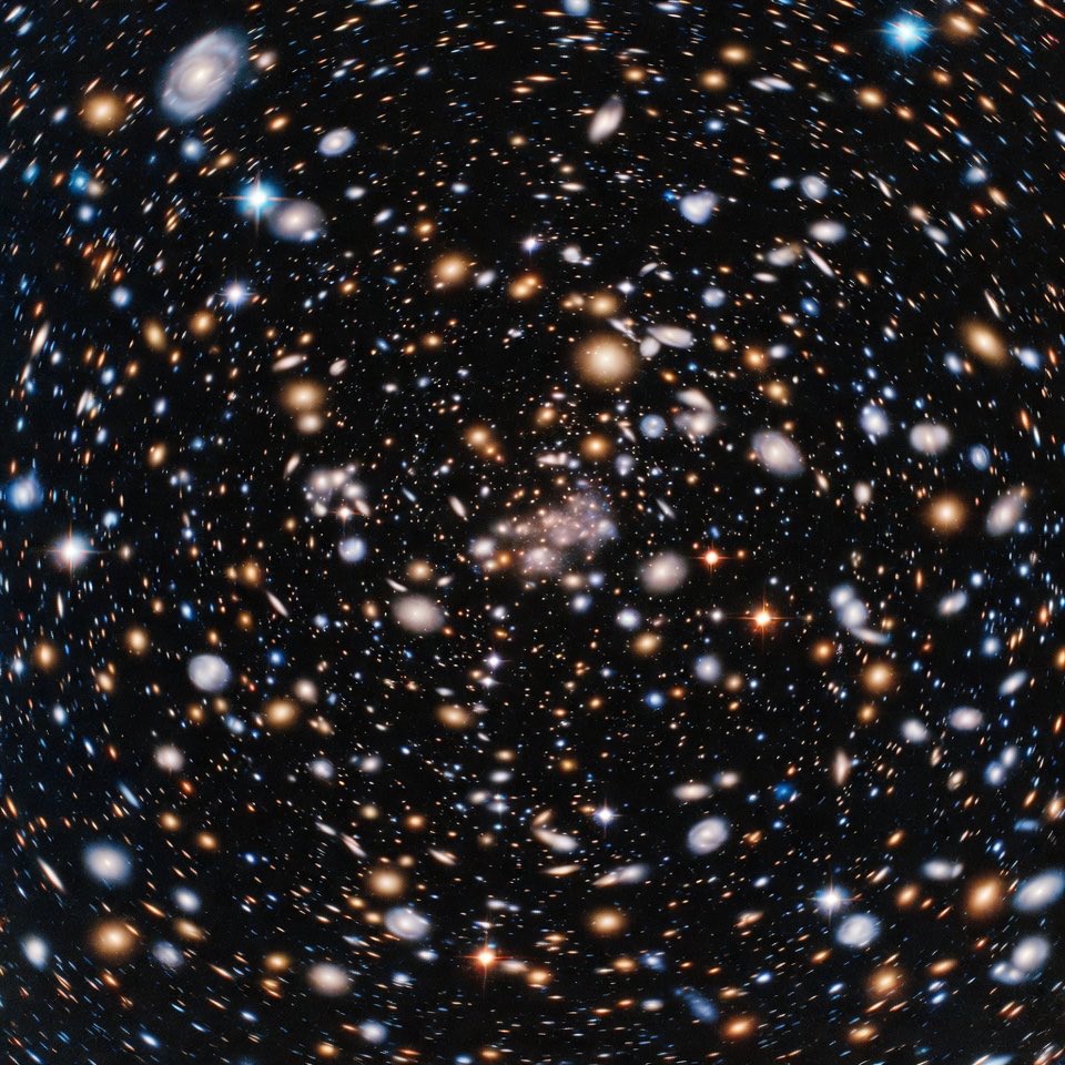 JESUS IS KING tweet media