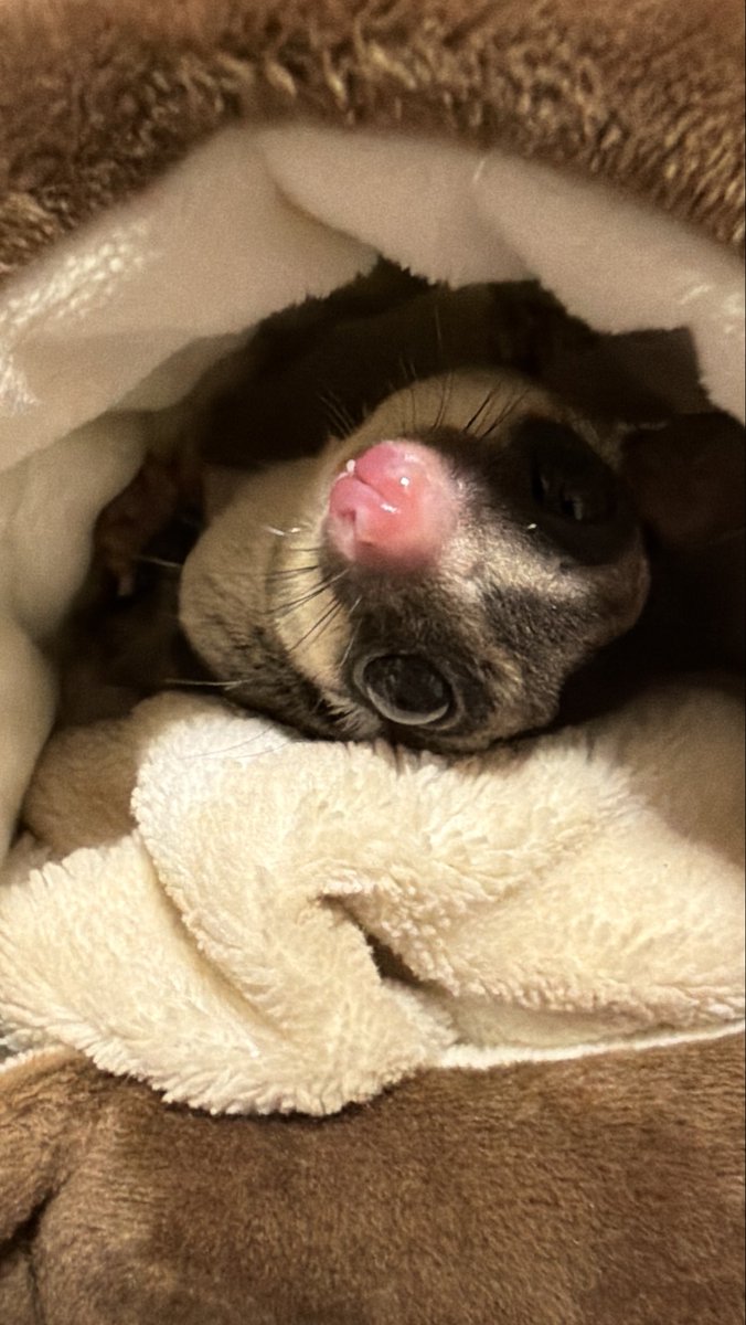 みなみ tweet media