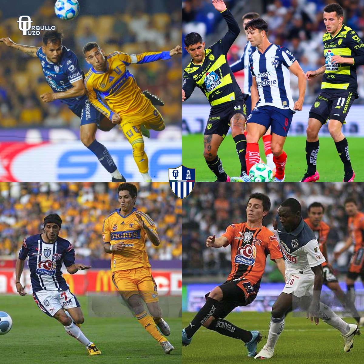 Orgullo Tuzo tweet media