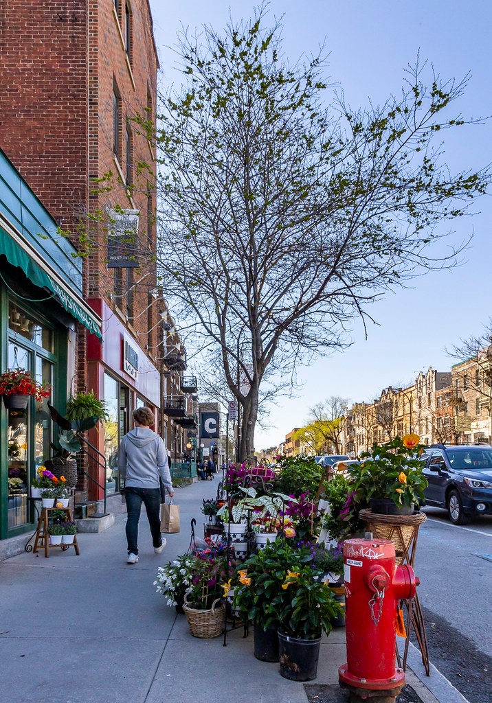 Montreal's tweet image. Spring is in the air! 🌷

📷 @evablue #montreal