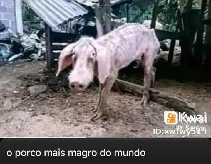 maria tweet media