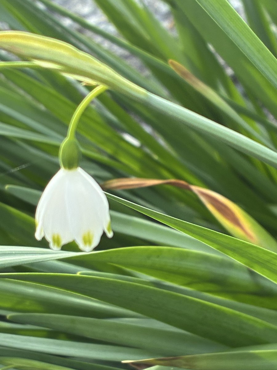 臼井恭子 tweet media