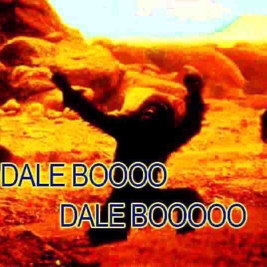 QUIERO GANAR LA LIBERTADORES Y UNA GALLINA MATAAAAAAAR