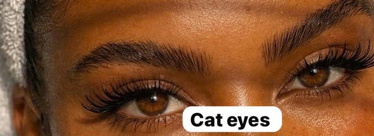 FIFI🌟 tweet media