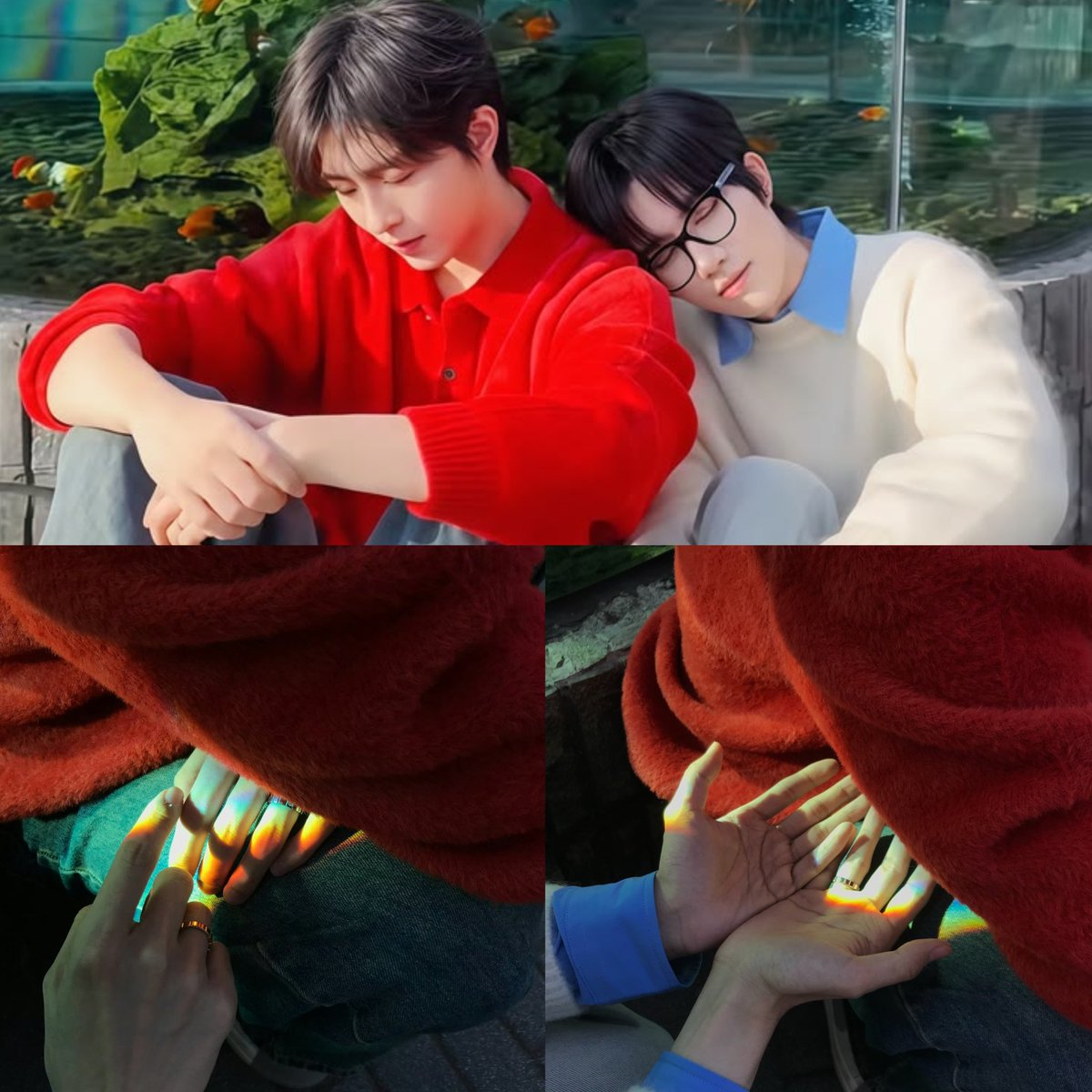 ✨🌋baobao🦋🍁 tweet media