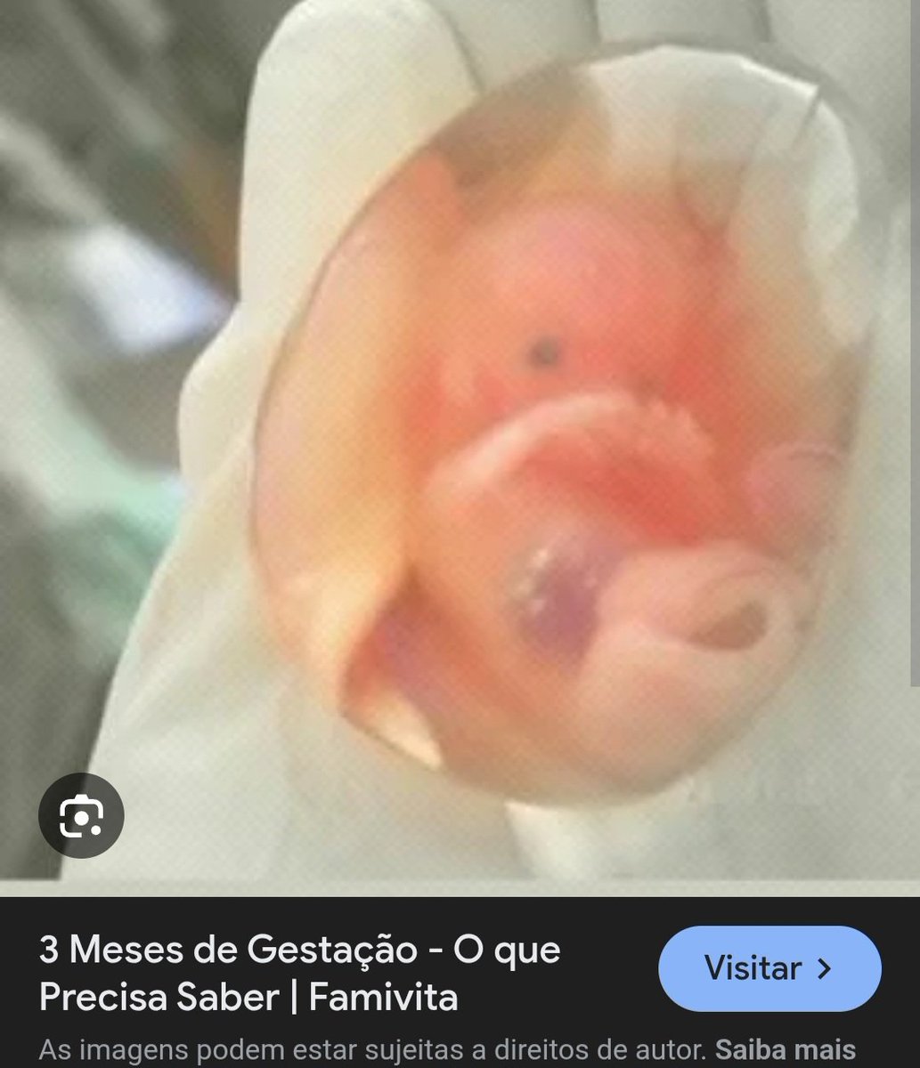 João Libório tweet media