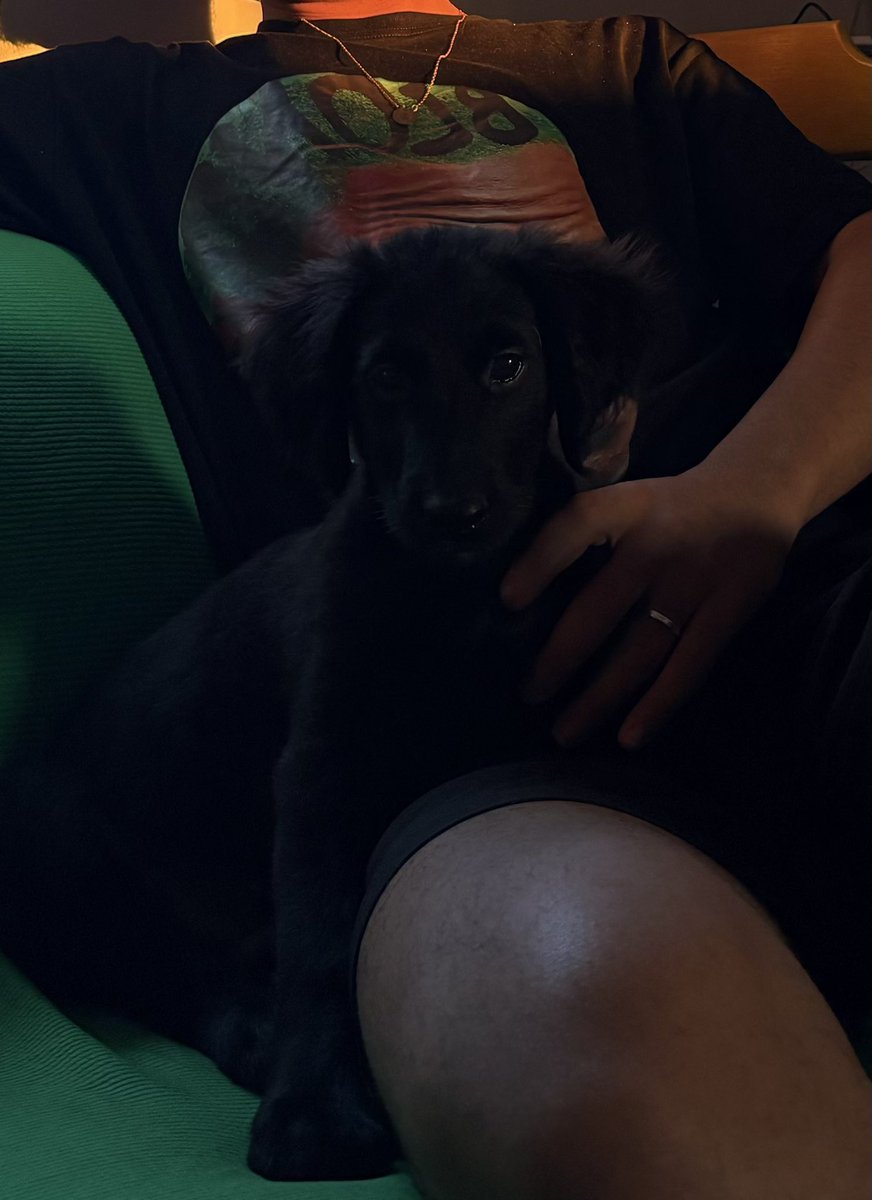 nego baiano tweet media