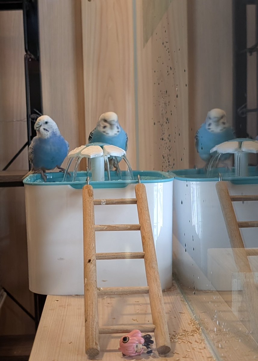 かずきよ tweet media