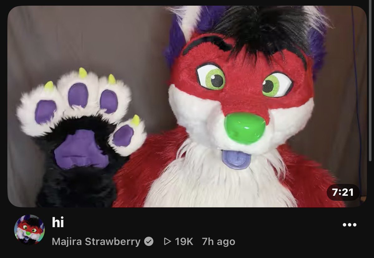 Waffles the Floof tweet media