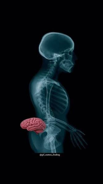 Biggest 5! tweet media