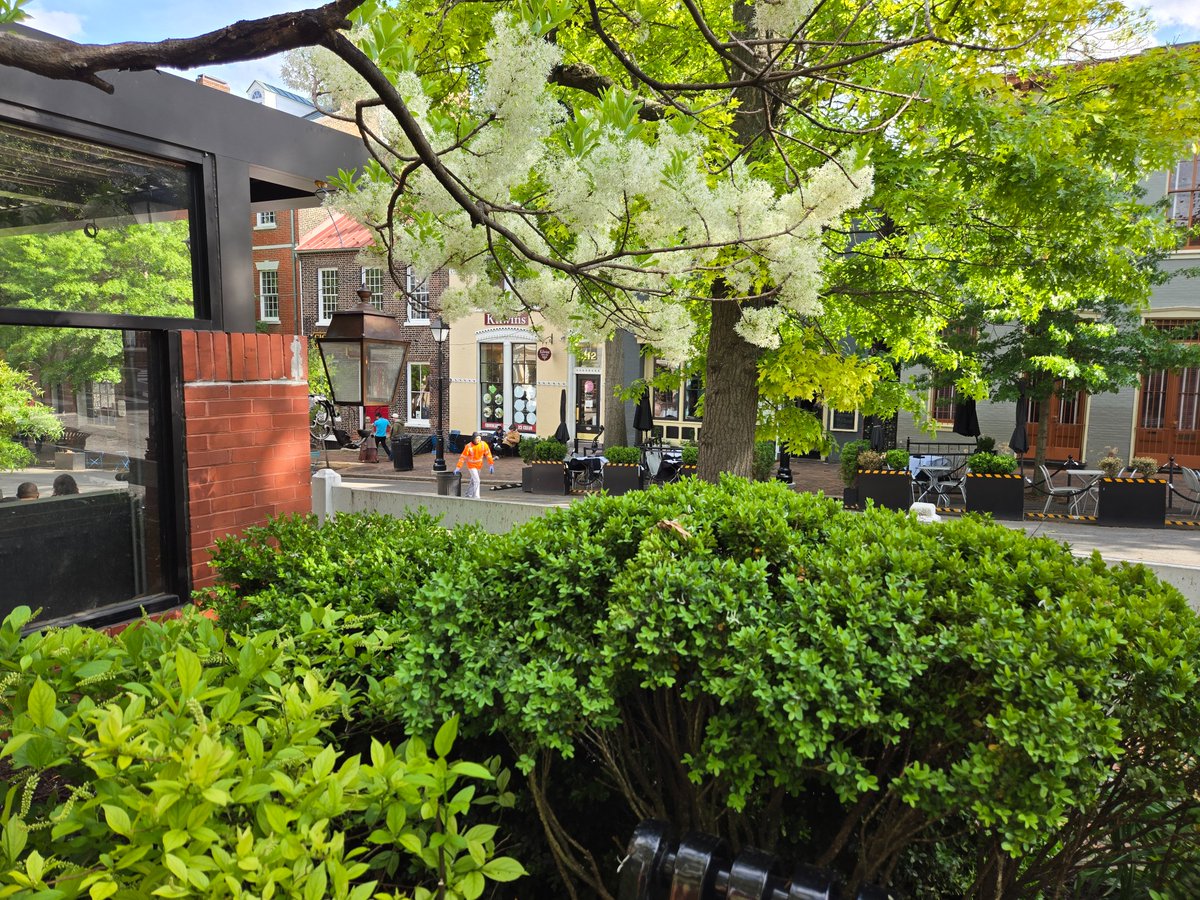 ad_mastro's tweet photo. Old Town Alexandria is perfection https://t.co/1z3TvMNLNz