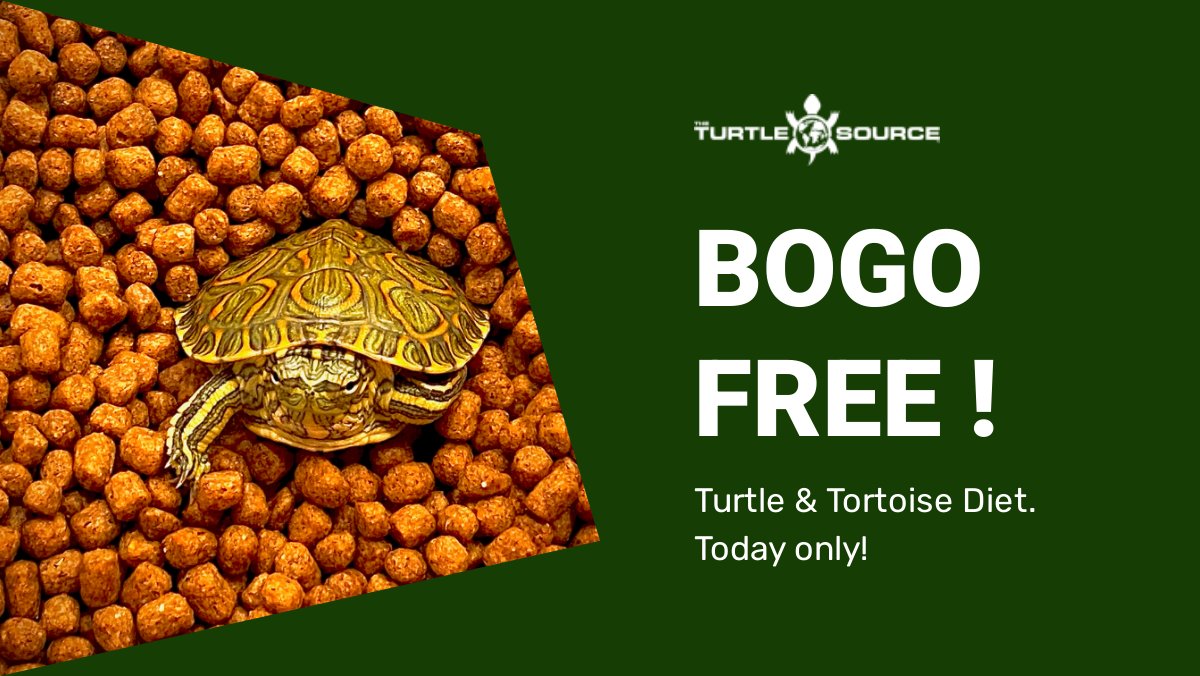 Final Hours: Free Shipping on $150+ Purchases - mailchi.mp/theturtlesourc…