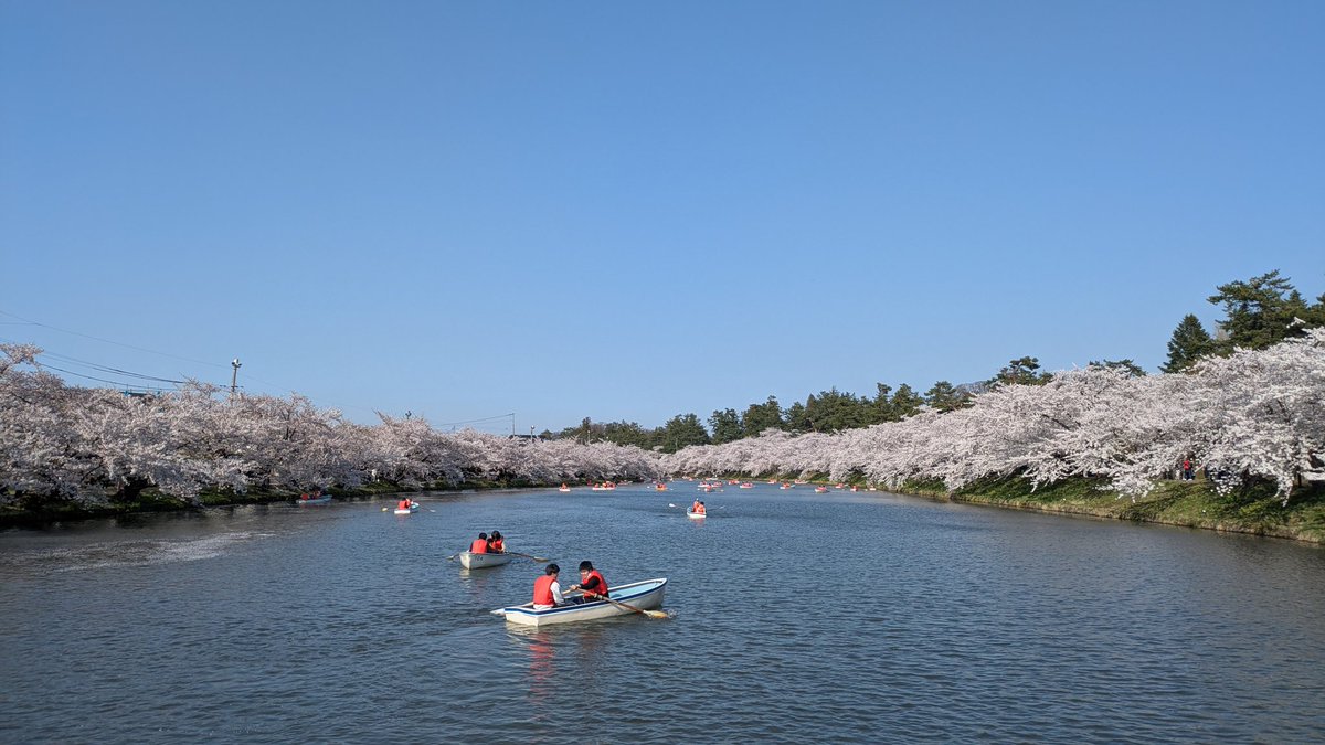 たね&隊長 tweet media