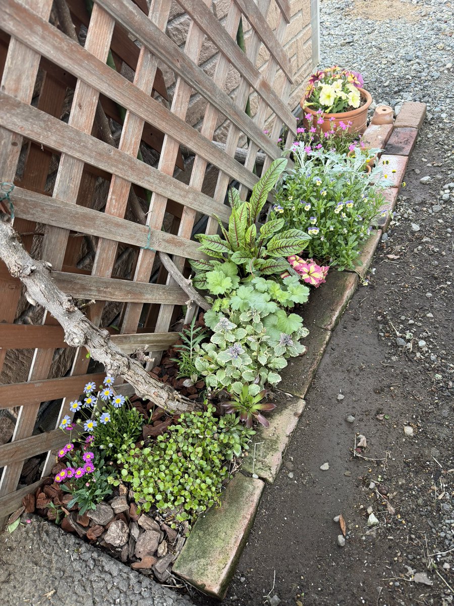 ホンダヒロト製作所 tweet media