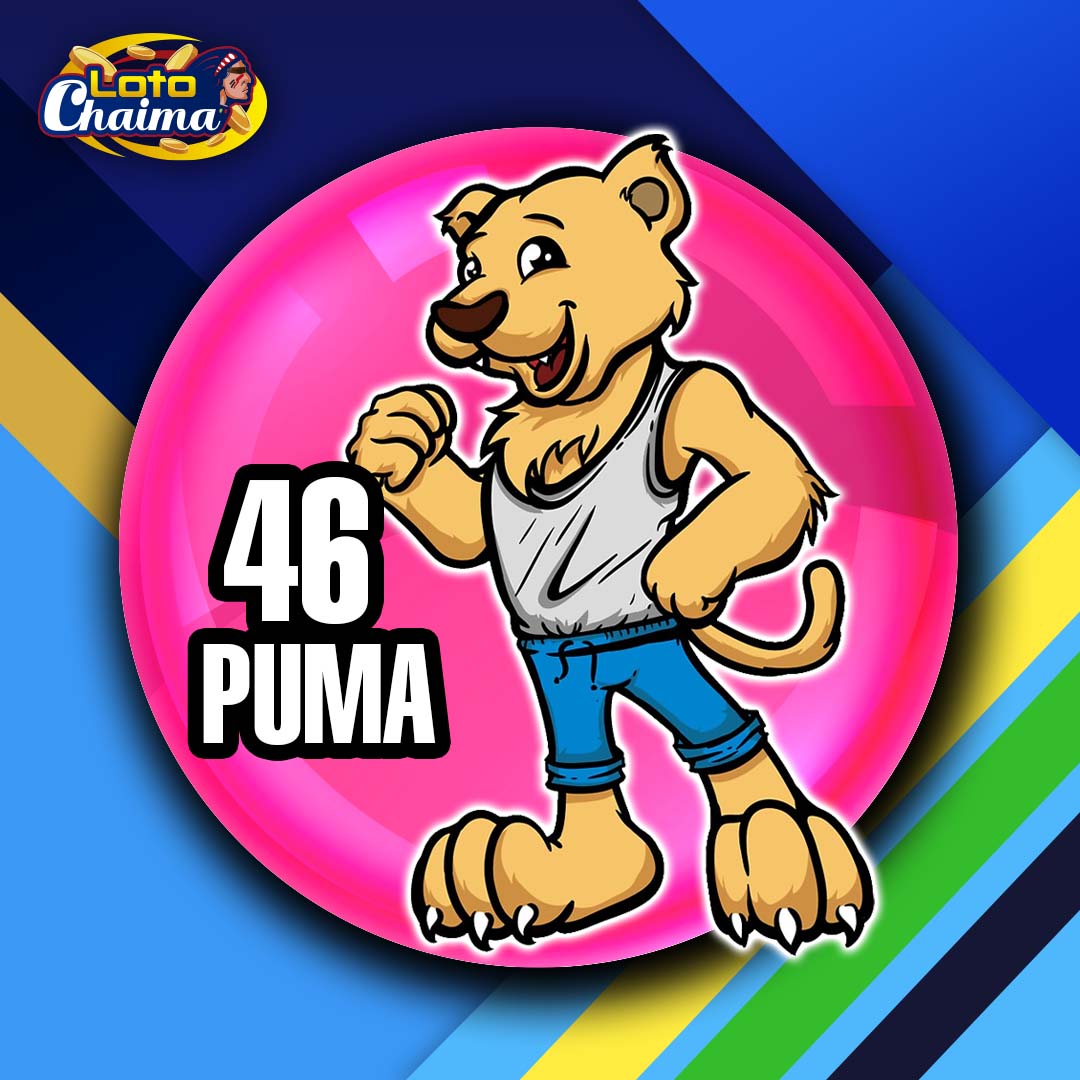 **LOTO CHAIMA** tweet media