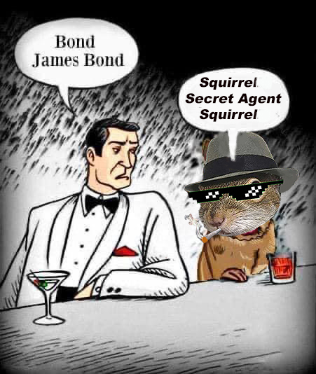 ✝️🇺🇸🕵️ Secret Agent Squirrel🐿️🇺🇸✝️ tweet media