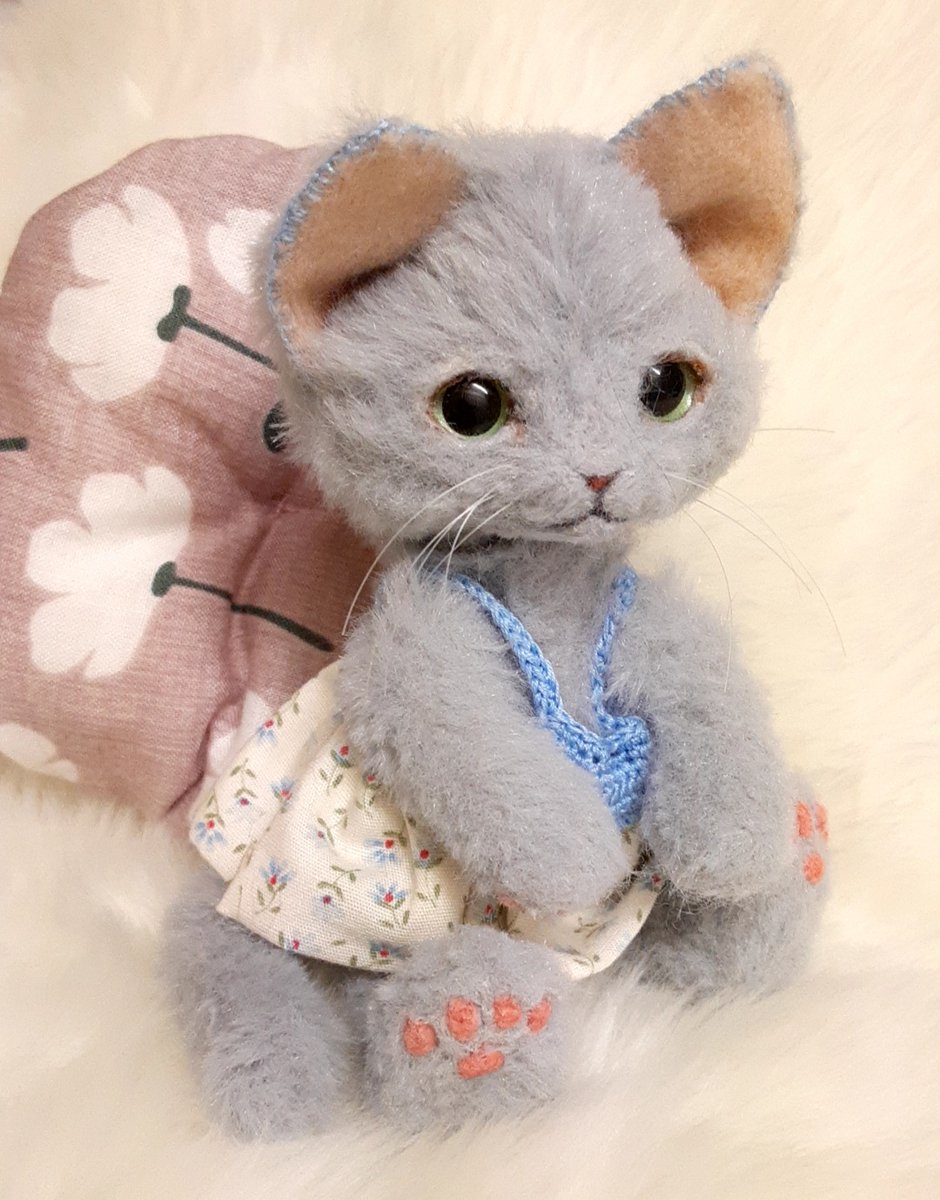 たぶん、ねこ tweet media