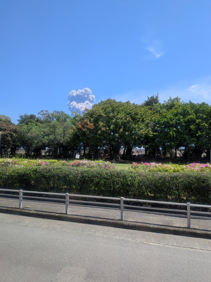 【SUNQパス修行：鹿児島市交通局】
鹿児島中央駅→鴨池港
鹿児島市営バスの通称ゲテノンで鴨池港まで。ハイバックシートとスモークガラスのこだわり仕様。終点間際で桜島が噴火…。
鹿児島200か1527 QKG-MP37FM 13年式