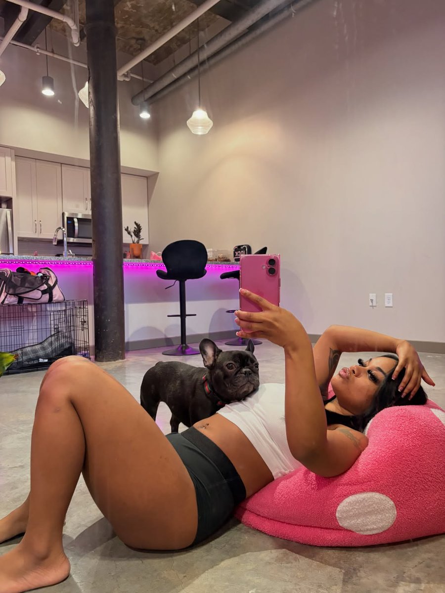 layla tweet media