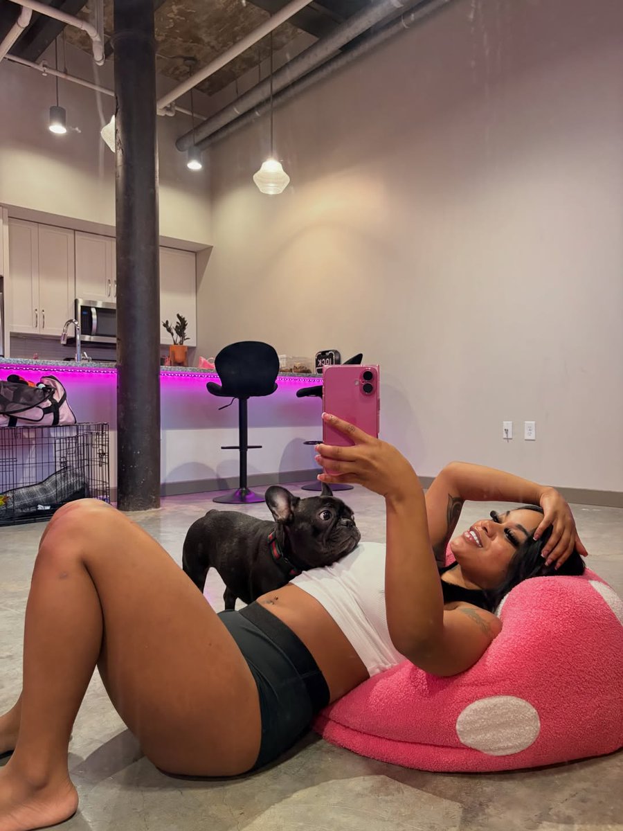 layla tweet media