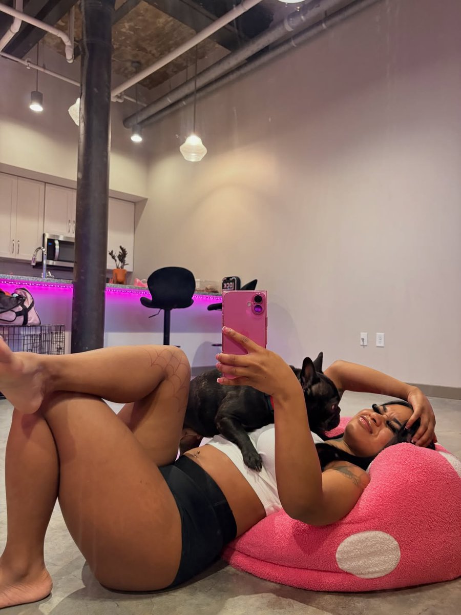 layla tweet media