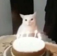 mar🐚 fire walk with me tweet media