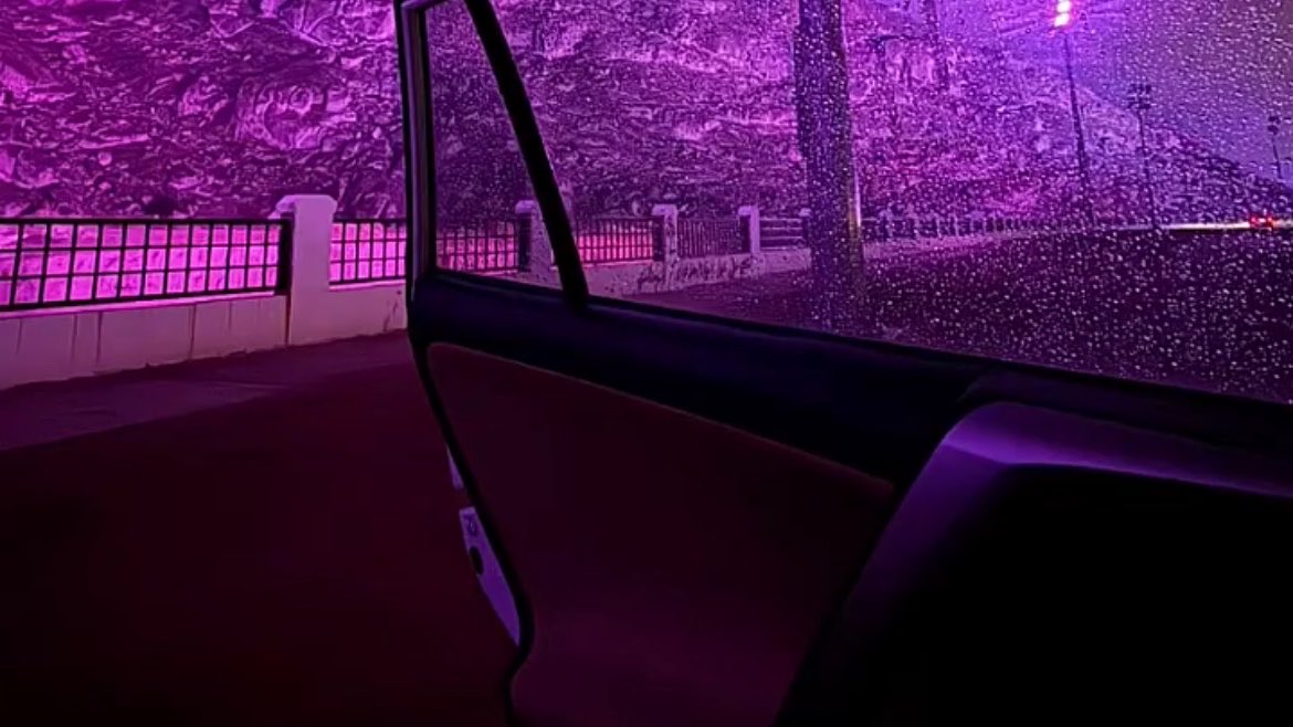 Reem AlShammari tweet media