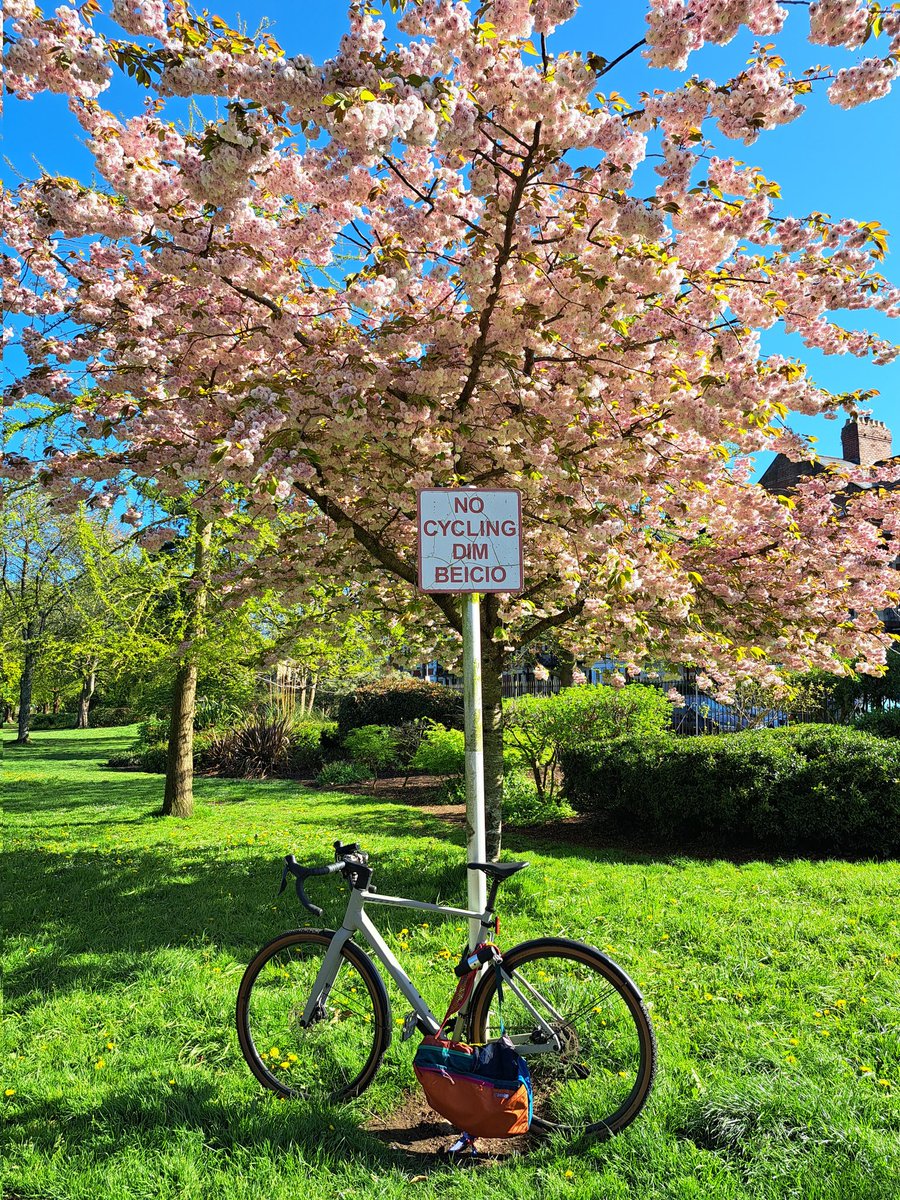 hoekzema59's tweet image. pic.day still life in #victoriapark #cardiff