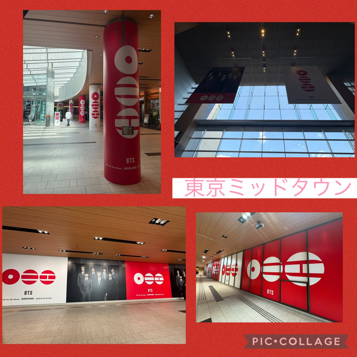 はる🐰 tweet media