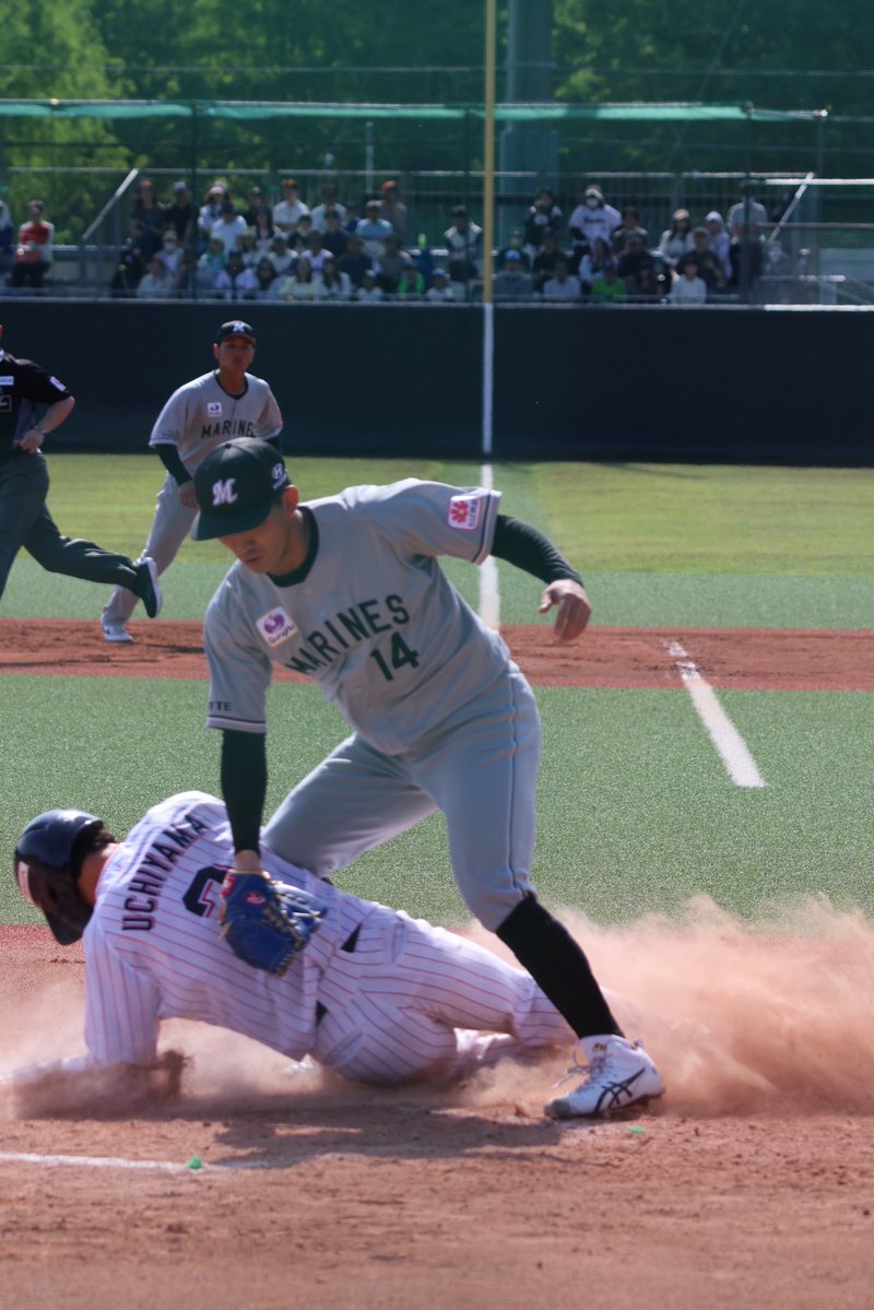 み▽ ◉ɷ◉ ▽ tweet media