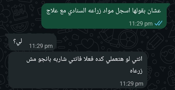 Maryam Essam ☥ tweet media