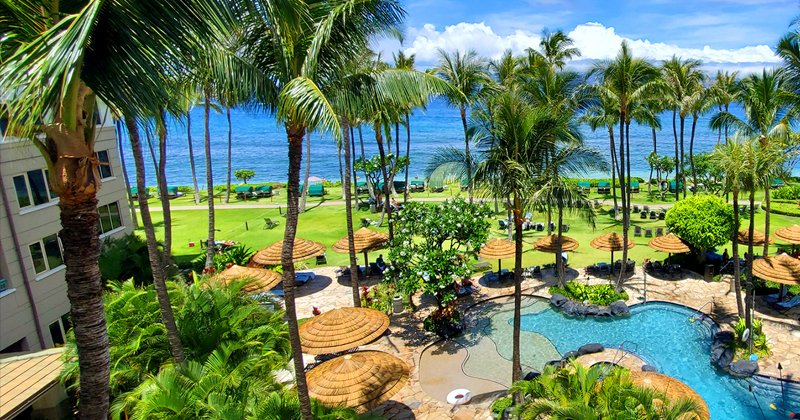 tropicalitytrvl's tweet image. Get all the greenery you could ever need (and more) at Marriott's Maui Ocean Club. 🌤️🌴🌊 
tropicality.com/resorts/marrio… 
#hawaii #luxurytravel #vacation #tropics #beach