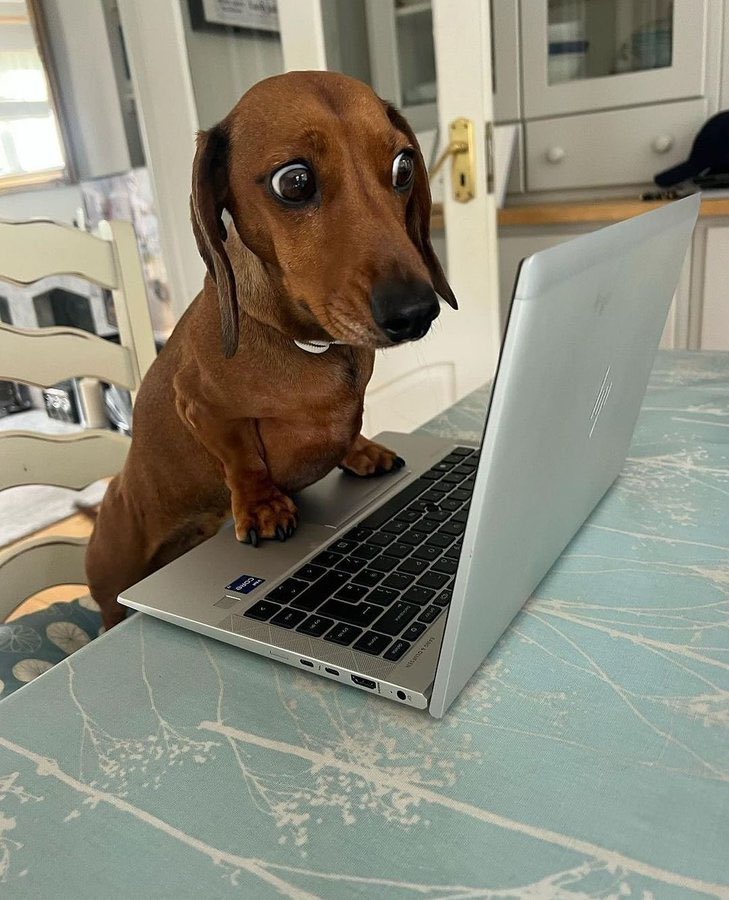 santuário daenerys targaryen tweet media