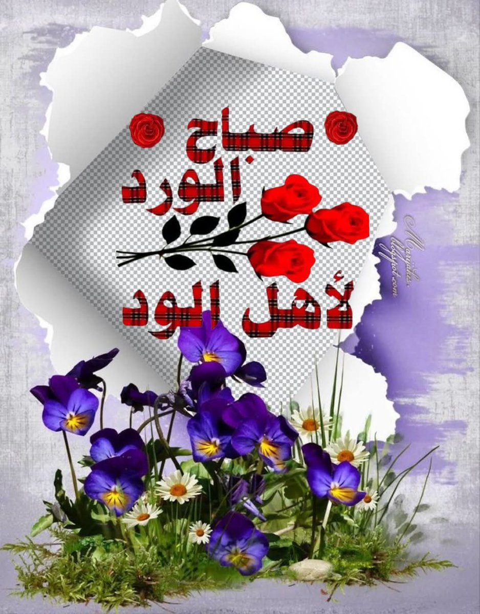 M. MOAAZ tweet media