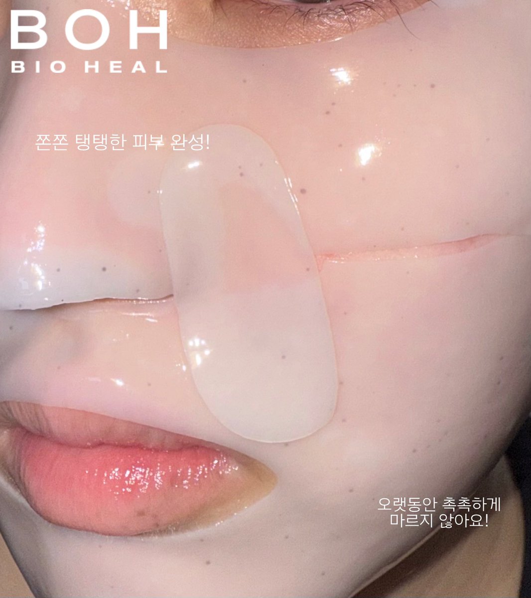 봅비 tweet media