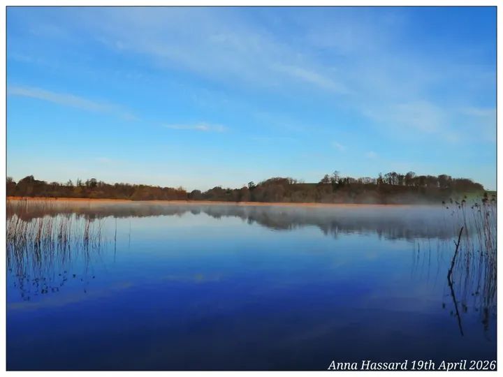 ANNA in Fermanagh tweet media