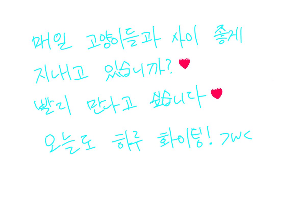 Penguin☆바완 tweet media